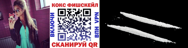 Купить  Покачи  COCAIN Fish Scale 