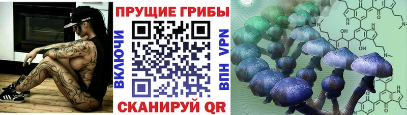 Галлюциногенные грибы Magic Shrooms  Купить закладки  Покачи 