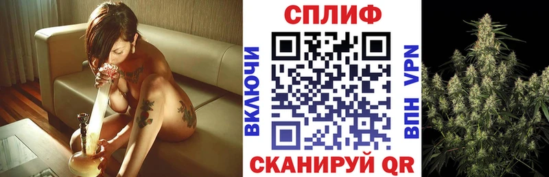 Купить где Покачи Бошки Шишки планчик